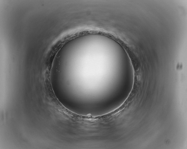 X0000092071495200709121405