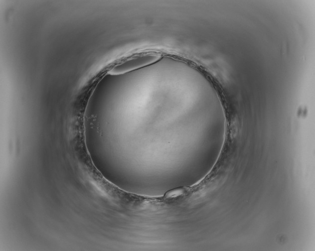 X0000092071496200709121405