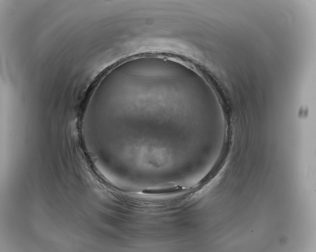 X0000092071497200709121405