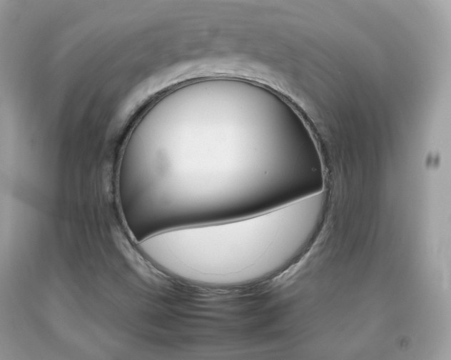 X0000092071499200709121405