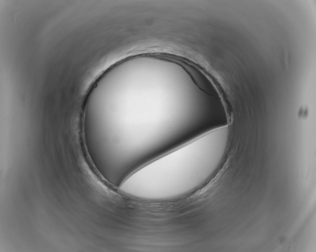 X0000092071500200709121405