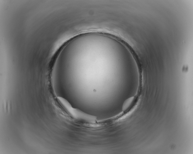 X0000092071501200709121405