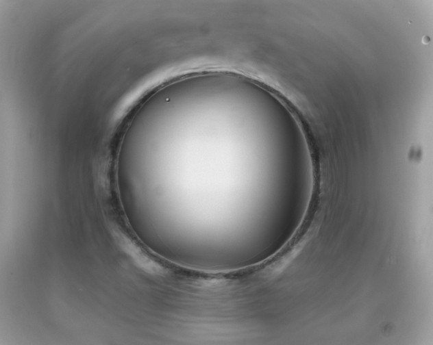 X0000092071502200709121405