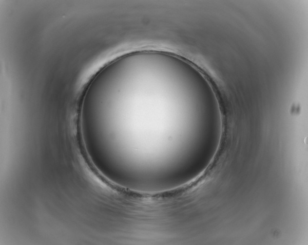 X0000092071504200709121405