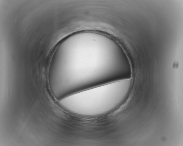 X0000092071505200709121405