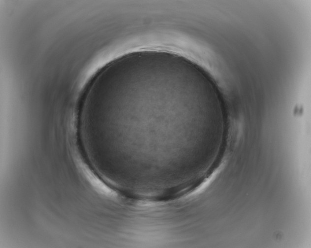 X0000092071506200709121405