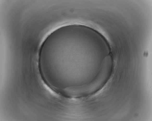 X0000092071508200709121405