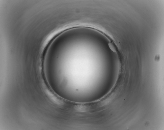 X0000092071511200709121405