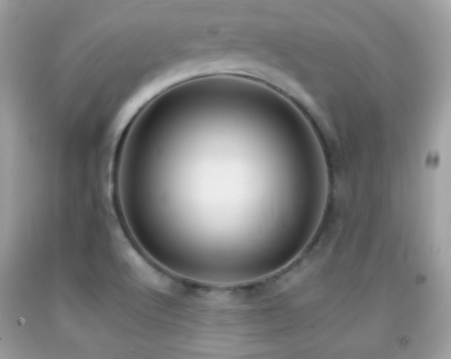 X0000092071512200709121405