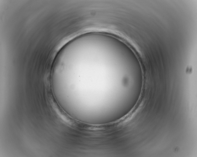 X0000092071513200709121405