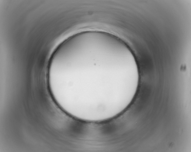 X0000092071514200709121405