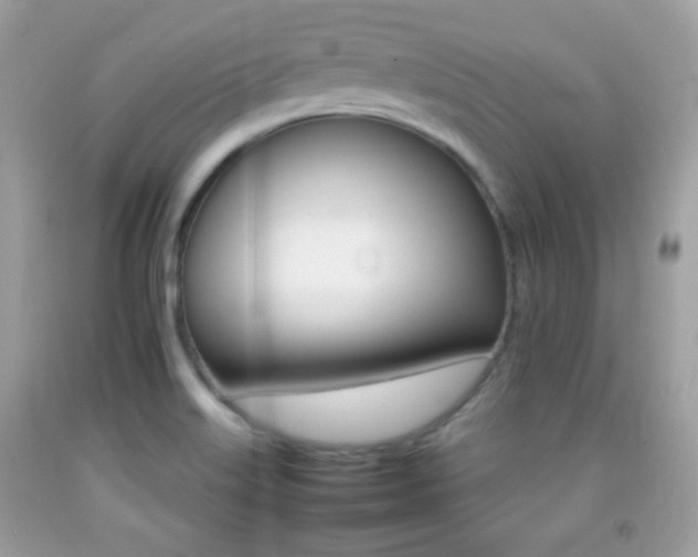 X0000092071515200709121405