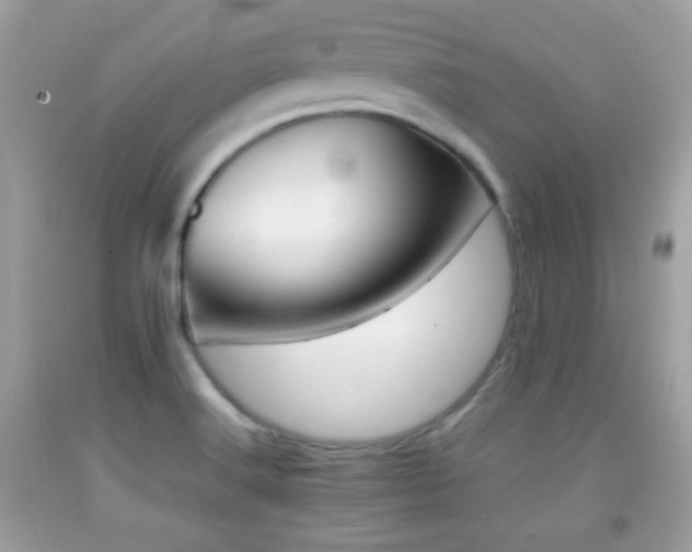 X0000092071516200709121405