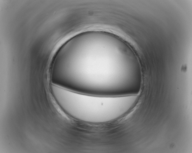 X0000092071517200709121405