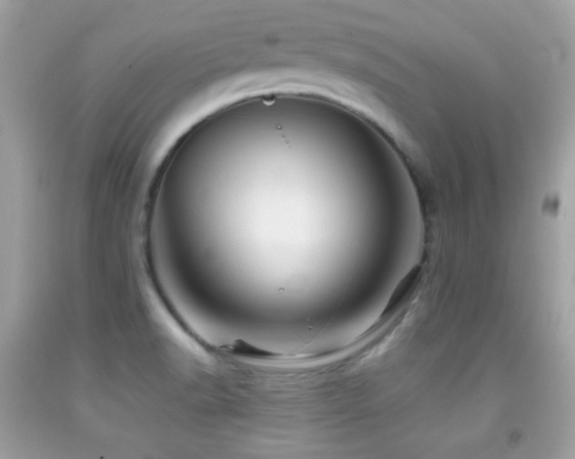 X0000092071518200709121405