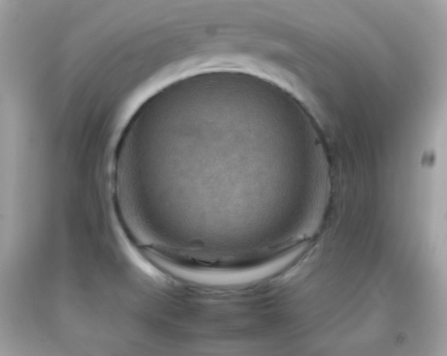X0000092071519200709121405