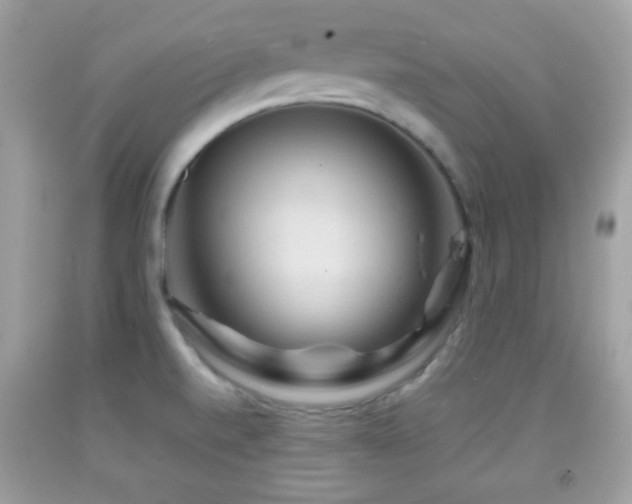 X0000092071520200709121405