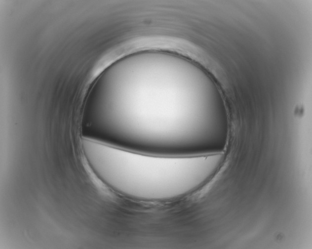 X0000092071521200709121405