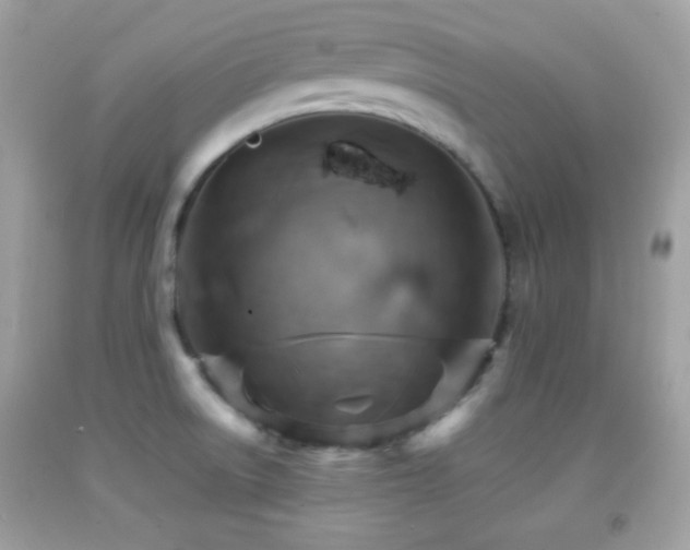 X0000092071522200709121405