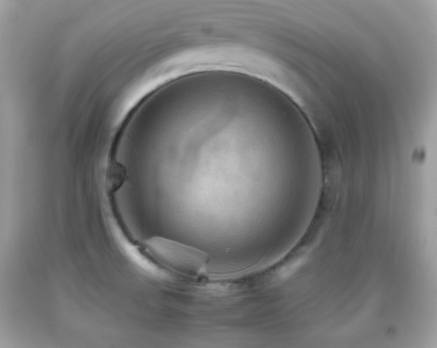 X0000092071523200709121405