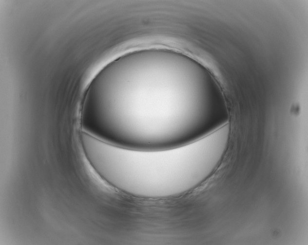 X0000092071524200709121405