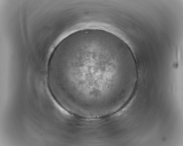 X0000092071525200709121405