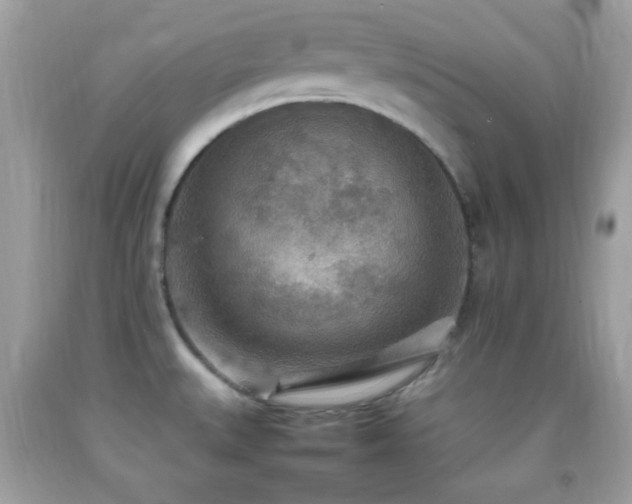 X0000092071527200709121405
