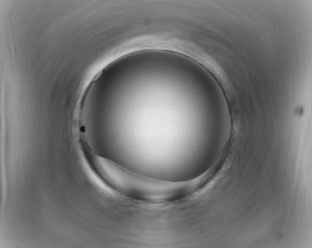 X0000092071528200709121405