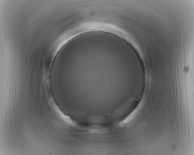 X0000092071529200709121405