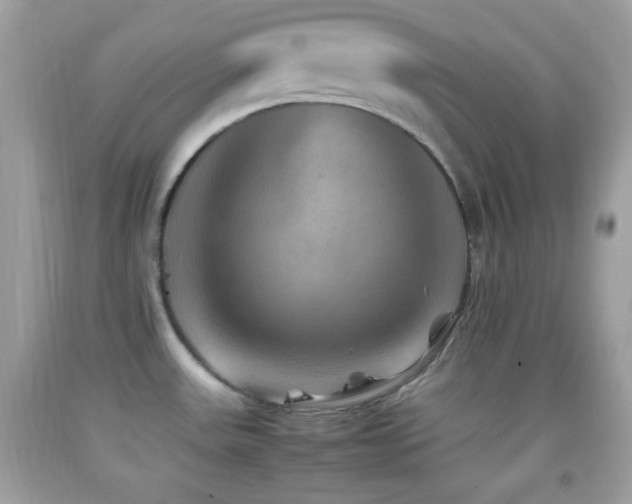 X0000092071531200709121405