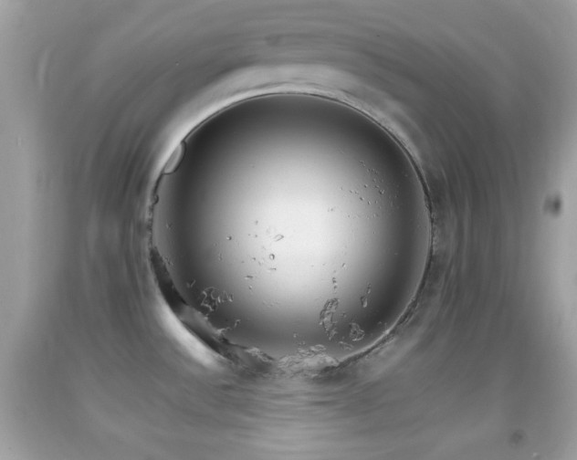 X0000092071532200709121405