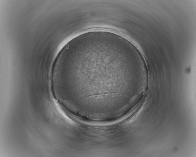 X0000092071533200709121405
