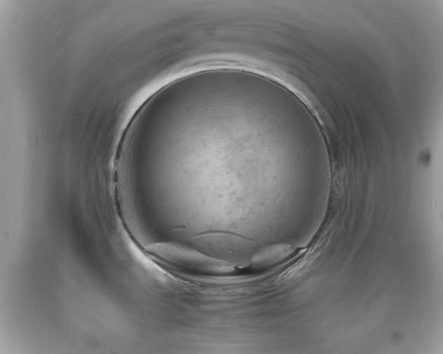 X0000092071535200709121405