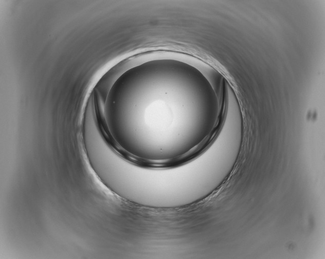 X0000092071536200709121405
