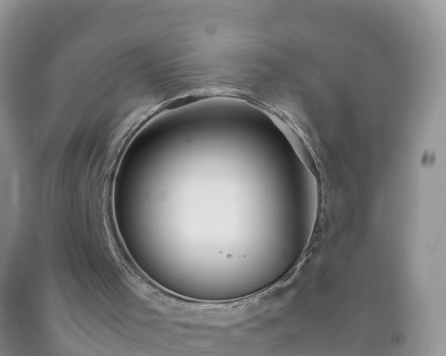 X0000092070001200709191213