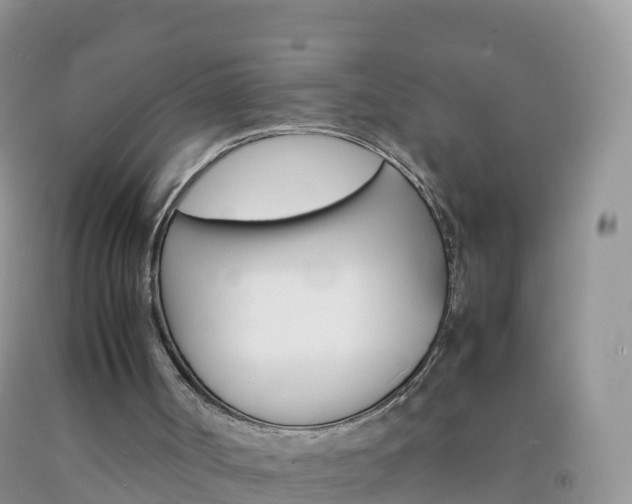 X0000092070002200709191213