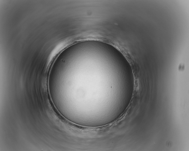 X0000092070004200709191213