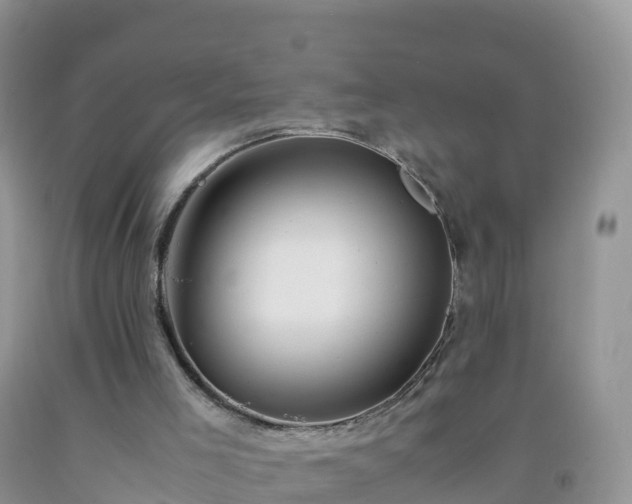 X0000092070005200709191213