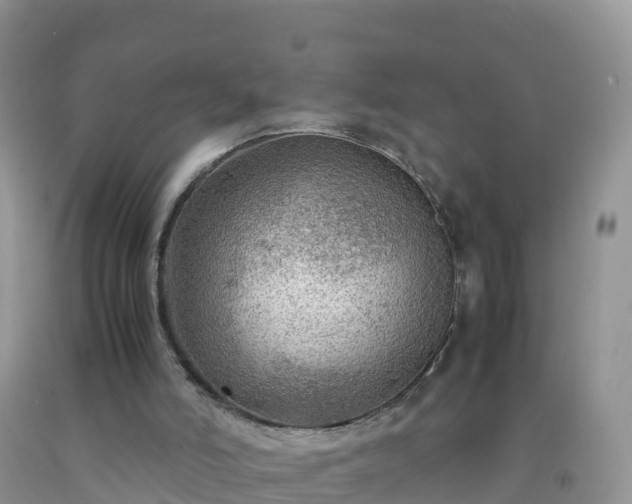 X0000092070006200709191213