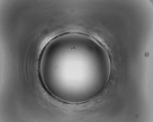 X0000092070007200709191213