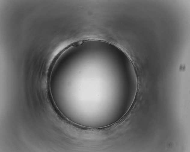 X0000092070008200709191213