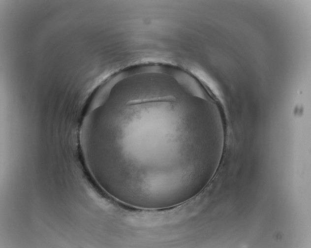 X0000092070009200709191213