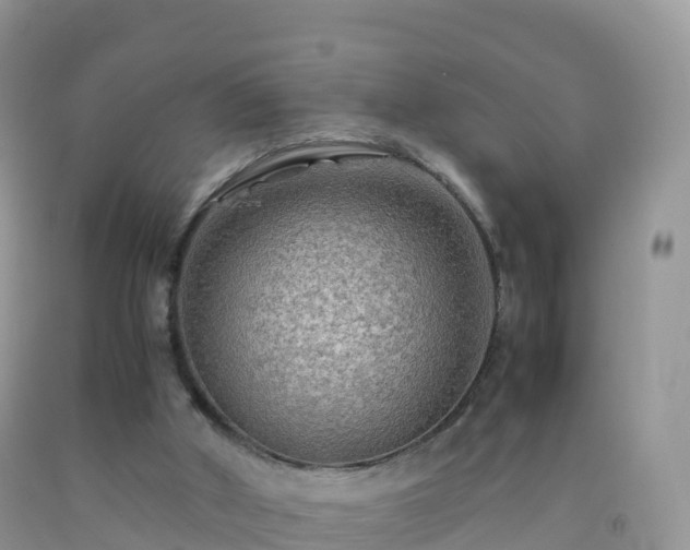 X0000092070010200709191213