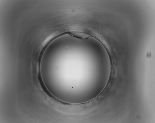 X0000092070011200709191213