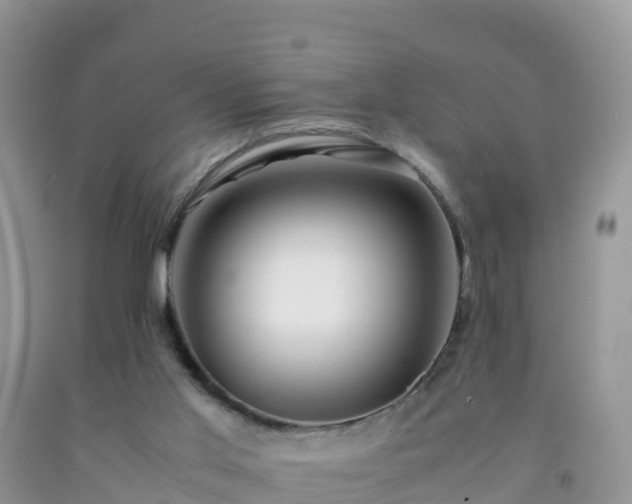 X0000092070013200709191213