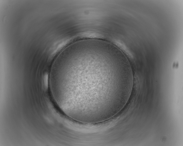 X0000092070014200709191213