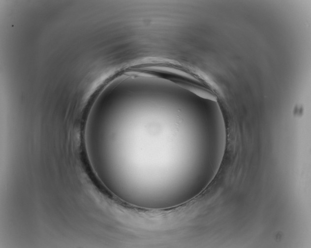 X0000092070015200709191213