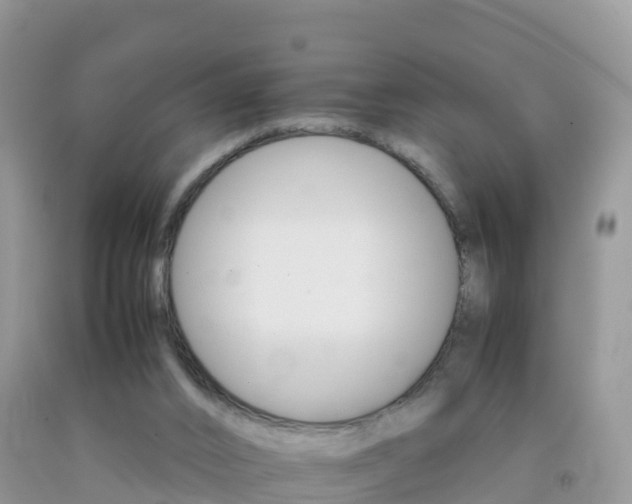 X0000092070016200709191213