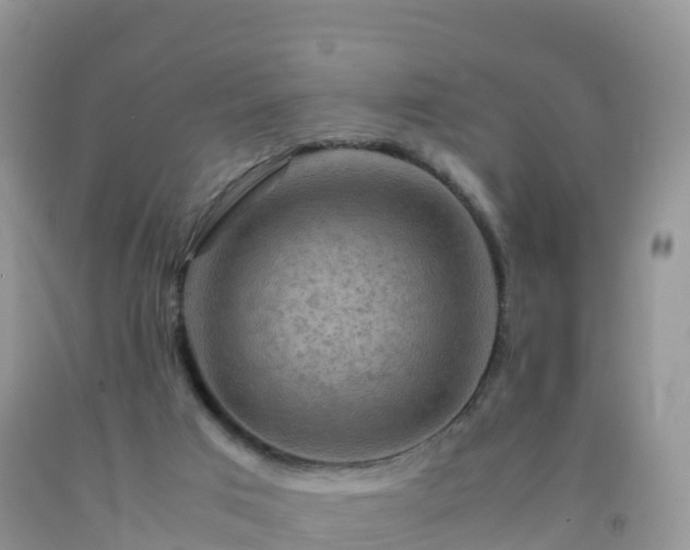 X0000092070017200709191213