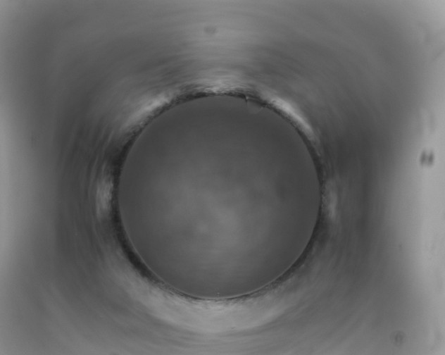 X0000092070018200709191213